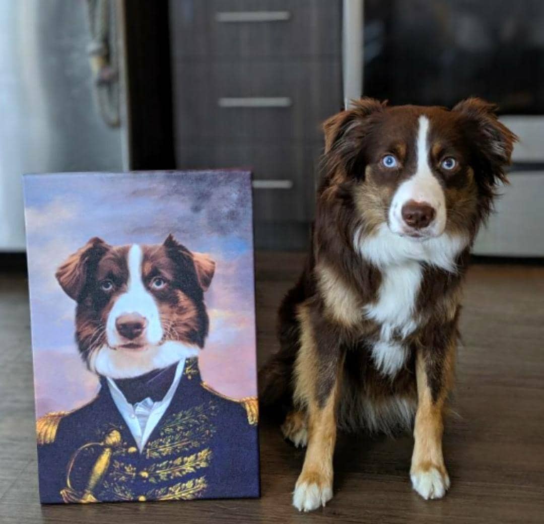 CUSTOM PET ACRYLIC royal PORTRAIT paintings/swap face with famous painting
