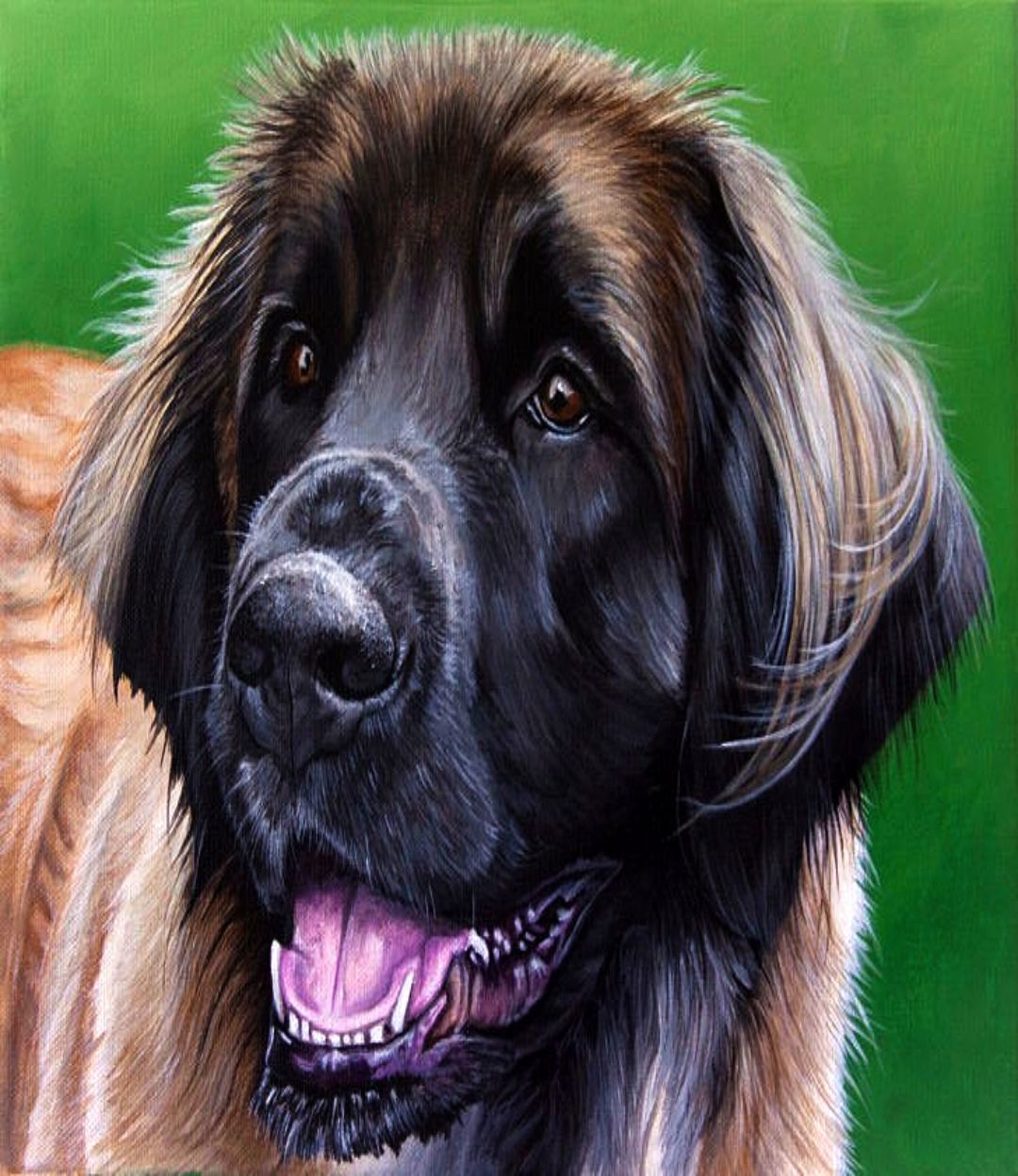 PET Dog portrait Painting from photo