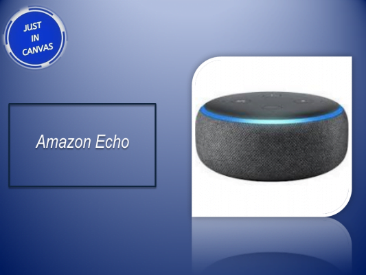 Christmas Gift Ideas echo