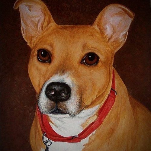 custom pet DOG acrylic PAINTING GALLERY