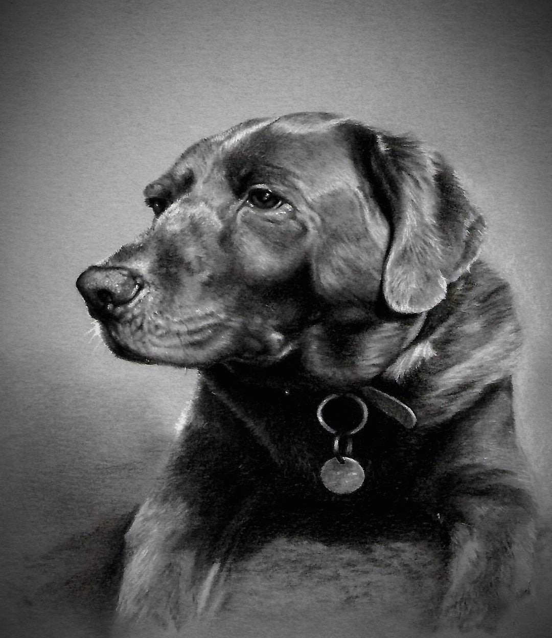 PET Dog CHARCOAL portrait paintings