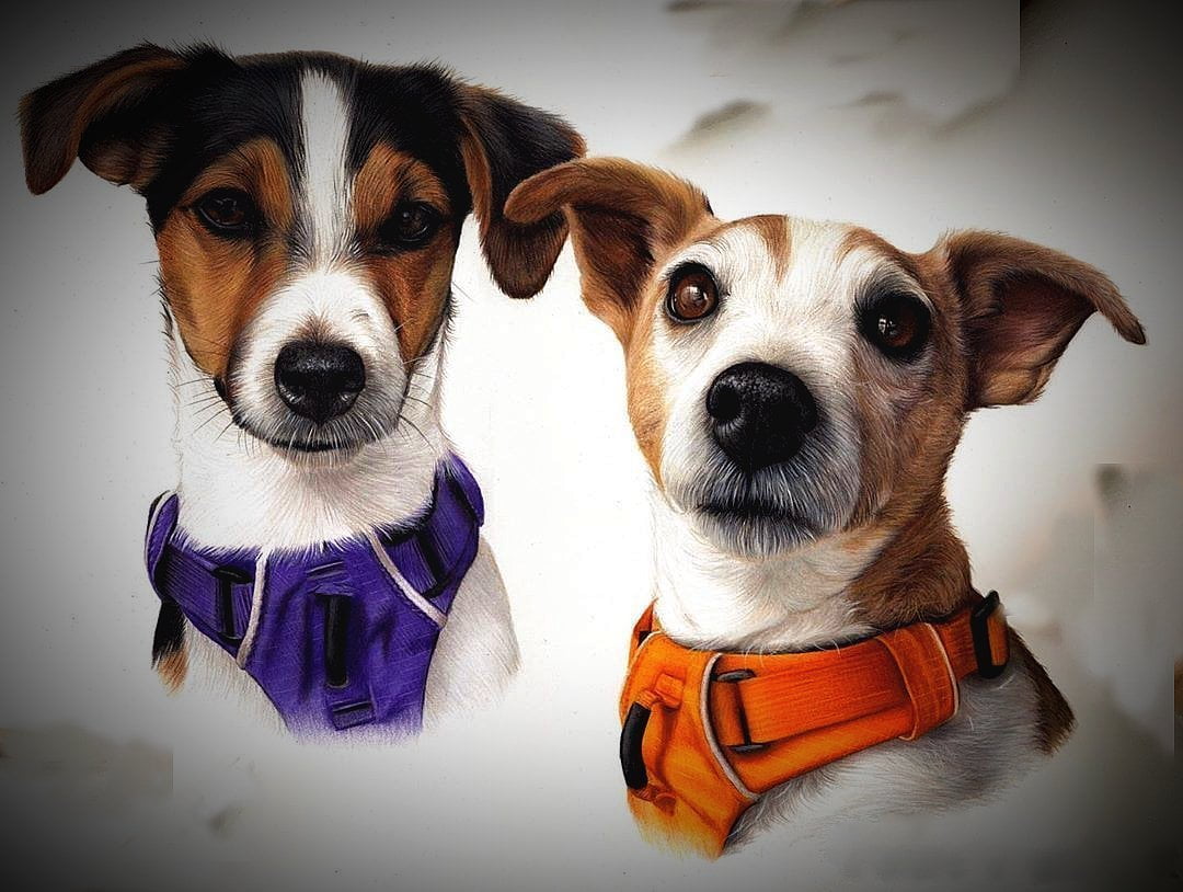 merged colored pencil PET DOG drawing