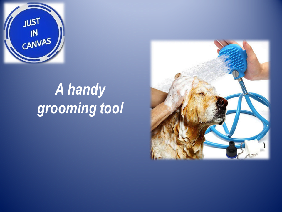 Best Gifts ideas Dog Lovers