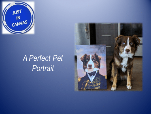 Best Gifts ideas for Dog Lovers