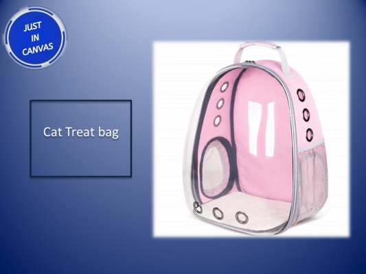 Cat_Carrying_Bag
