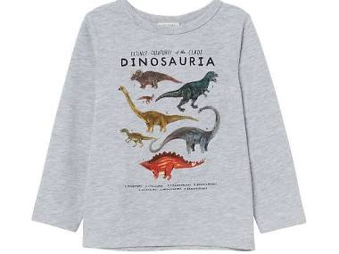 Sweatshirt from past