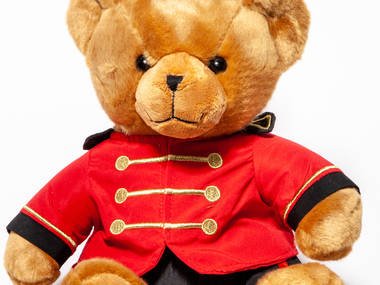 Schwarz Teddy