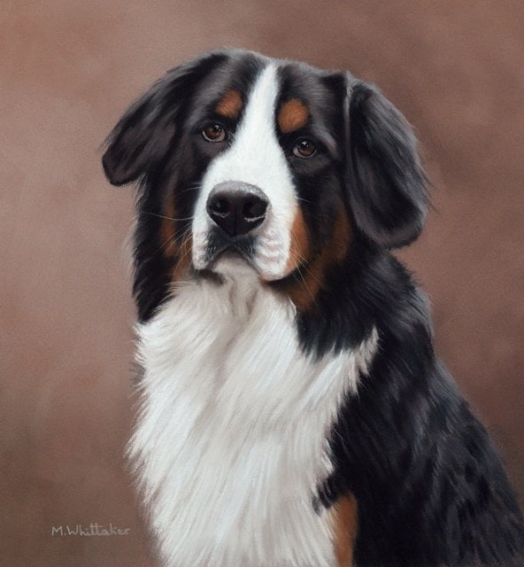 Alternative view of Pet Acrylic Painting From Photo