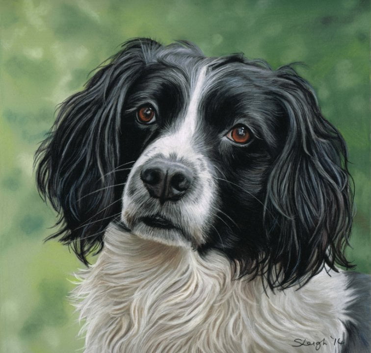 HAIRY DOG CUSTOM PAINTED PAINTING
