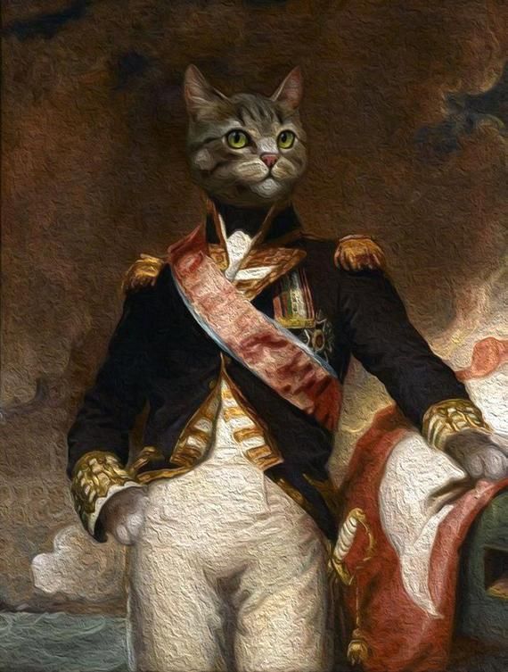 royal cat portrait/FACE SWIPE PORTRAIT